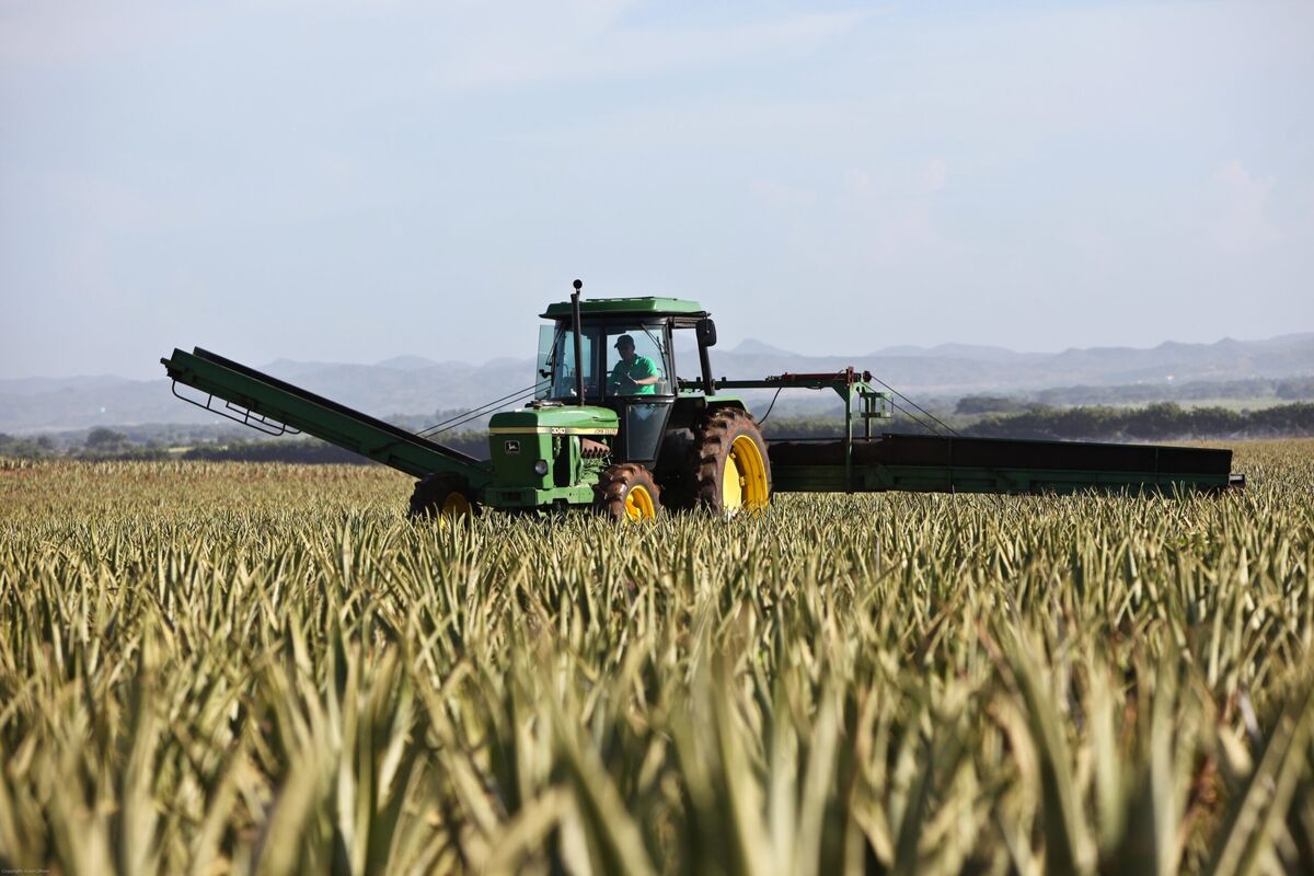 Agricultural Consulting Services