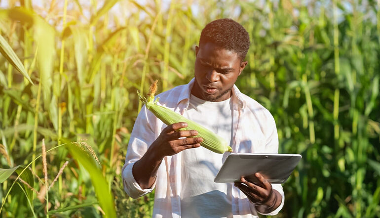 About AgriWise Consulting